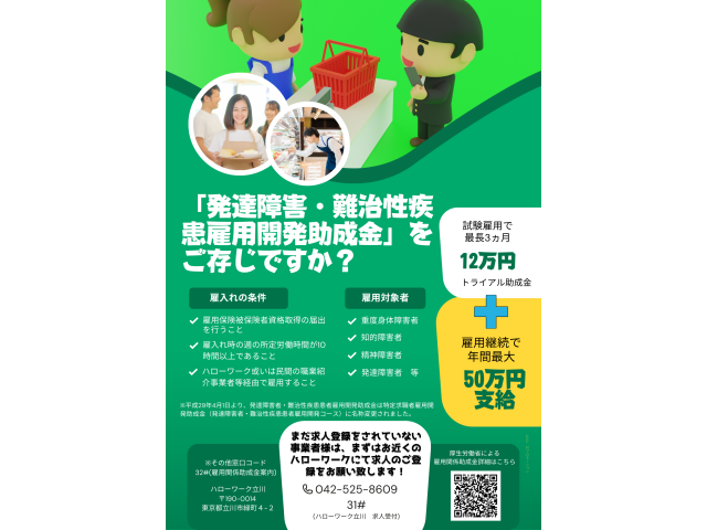 画像制作・編集